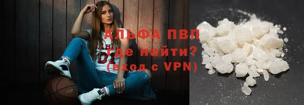 молекула духа Болотное